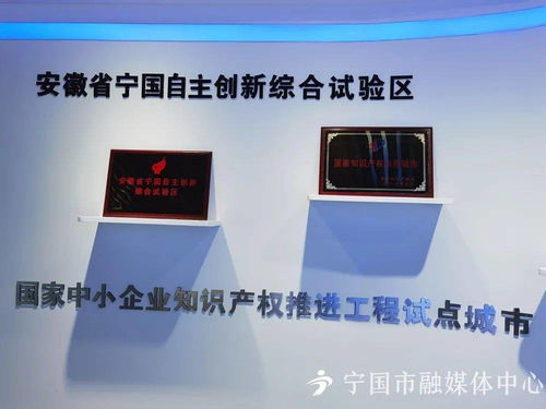 建功新时代 再创新辉煌 —— 宁国市科技局以科技创新服务推动经济高质量发展